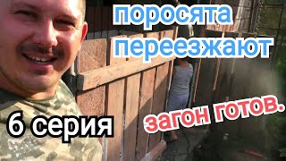 Купил ещё поросят,пересадка поросят в новый загон. Начал делать террасу.