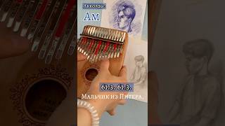 Алёна Швец - Мальчик из Питера #kalimba #калимба #табы #cover #разбор ❤️ЗАКАЗАТЬ КАЛИМБУ-В ОПИСАНИИ