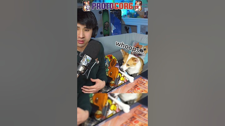 My Corgi Tries To Sabotage Me #shorts #corgi #streamer #comfy