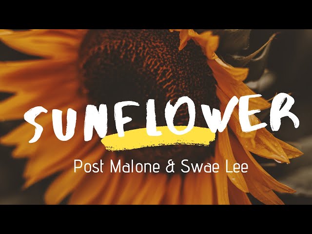 Post Malone & Swae Lee - Sunflower (Lyrics) class=