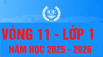 Đáp án IOE Tiếng Anh lớp 1 vòng 11 năm học 2025-2026