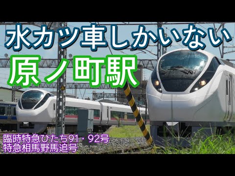 【原ノ町にE657系が2本】特急ひたち3号 原ノ町駅発車 (留置＝相馬野馬追号)