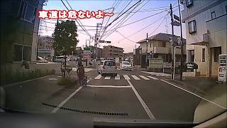 ショッピングカーは車両じゃないよ、さすがに車道は危ないよ～