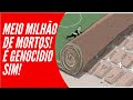 MEIO MILHÃO DE MORTOS É GENOCÍDIO SIM!