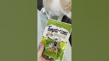 Mail Time 71: Cat Box From Sheepalore #unboxing #blindpack #mysterytoy #mail #cat