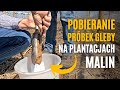 Pobieranie prbek gleby na plantacjach malin