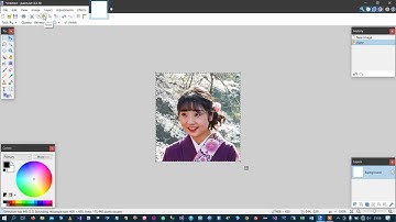 Easily create a passport type photo using Paint.NET