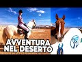 A CAVALLO nel DESERTO di HURGADA: Escursione con EQUESTRIAN DREAM - Egitto