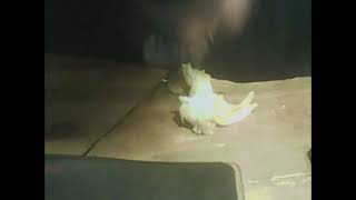 Fastest Time to Eat A Banana (NO HANDS) - Unity_Man