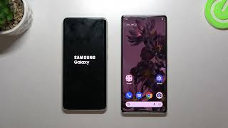 Galaxy S21 FE 5G vs Pixel 6 Pro | boot animation /boot animation of Galaxy S21 FE 5G and Pixel 6 Pro