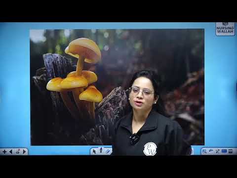 6 Mycology 01   Mycology