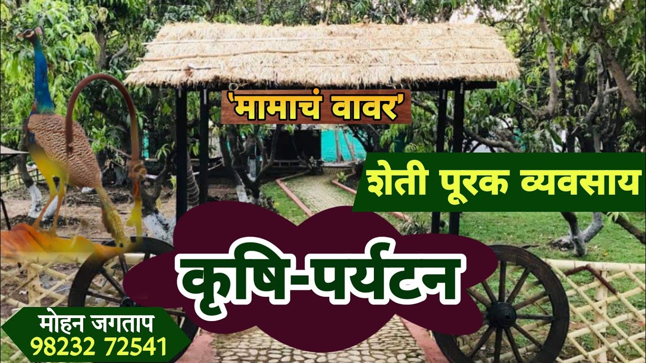 ‛मामाचं वावर’ कृषी-पर्यटन जबरदस्त शेतीपूरक व्यवसाय. 