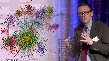 Jens B Nielsen: From yeast to human