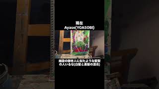 #ayase