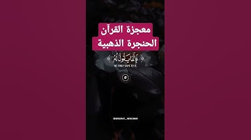 تلاوة خاشعة للقارئ الشيخ عبد الباسط عبد الصمد رحمه الله