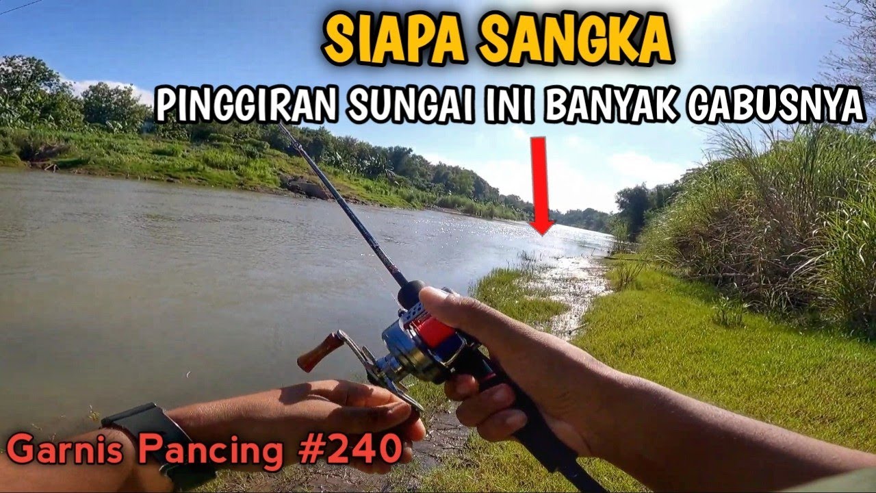 SUSUR PINGGIRAN SUNGAI DAN DAPAT BANYAK IKAN 🤩‼️ Alhamdulillah Spot indah banyak ikanya || GP #340