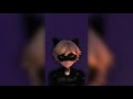 cat in the night slowed