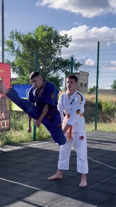 Відкрите тренування на свіжому повітрі з Макотокай Карате у с.Курісове ...
