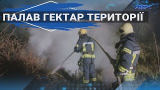Біля села Прилуцьке невідомі підпалили сухостій