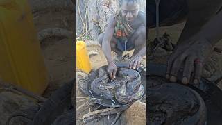 Dudukwe preparing bush python meat