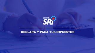 Video 5  DECLARA Y PAGA TUS IMPUESTOS