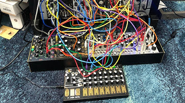 Live Eurorack improvisation with Make Noise 0-ctrl, Instruo CS-L, Basimilus Iteritas Alter, and QPAS