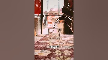 أواخر سورة البقرة 🤍🍃 | الشيخ أحمد النفيس