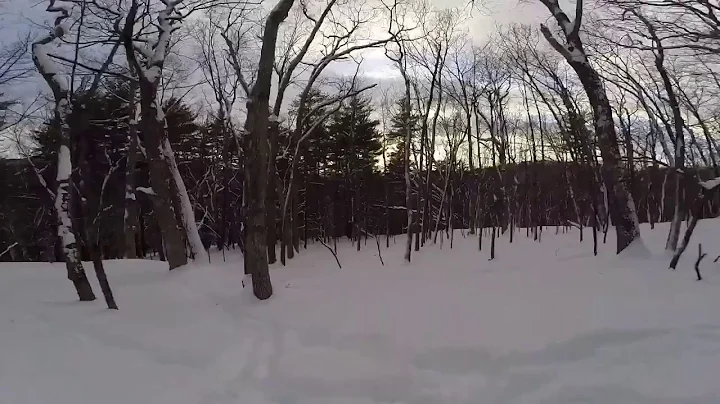 Snow day with Man's best friend