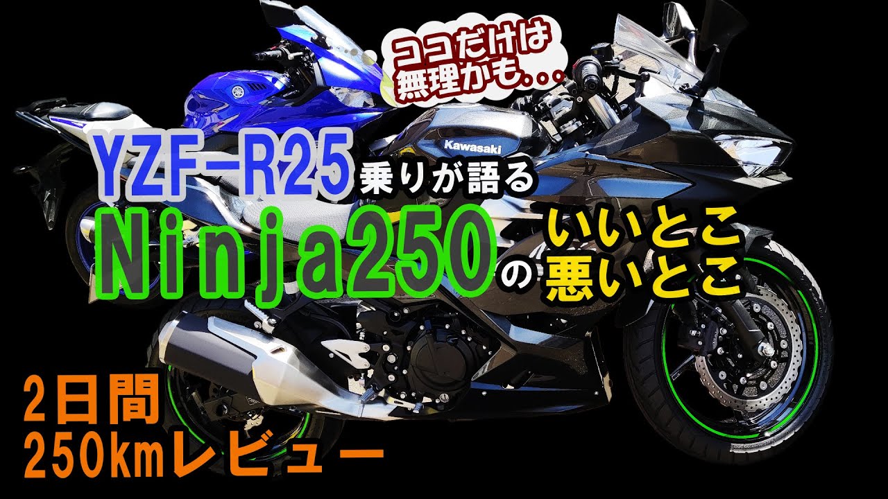 [モトブログ]R25乗りがNinja250をじっくり舐める回