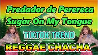 Predador de Perereca X Sugar On My Tongue (Chacha Remix) - DJ John Paul | Tiktok Trend