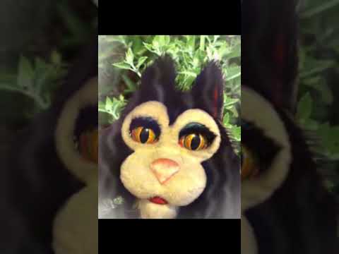 The Terrifying Truth About Crusty The Cat Pt 2 Chuckecheese