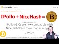 Use Your IPollo ASIC Miner on Nicehash for BITCOIN 😎 Is JASMINER Next ? ETH & ETC Tested,