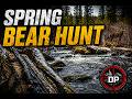 Spring Bear Hunt 2026 | Days of Grinding & Close Encounters