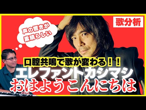 歌分析】 エレファントカシマシさん【おはよう こんにちは】1988/09/10