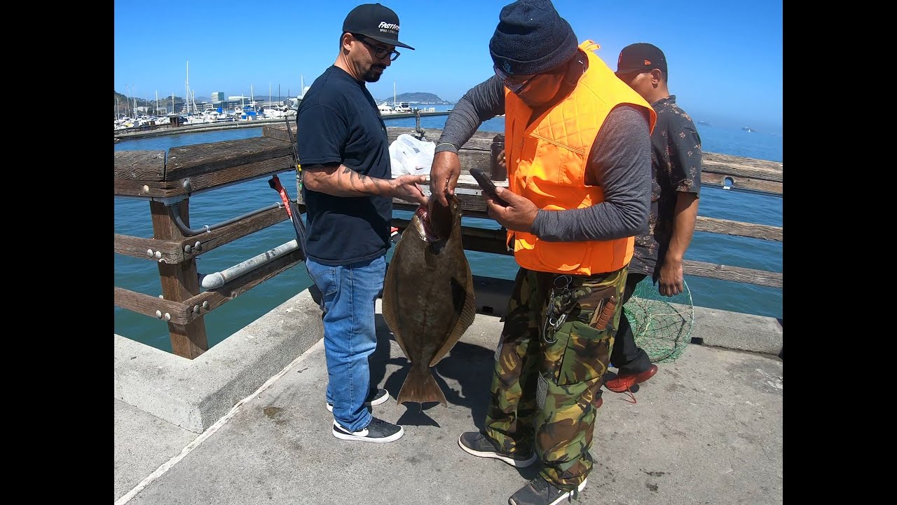 Oyster Point Halibut Fishing Round 2 YouTube