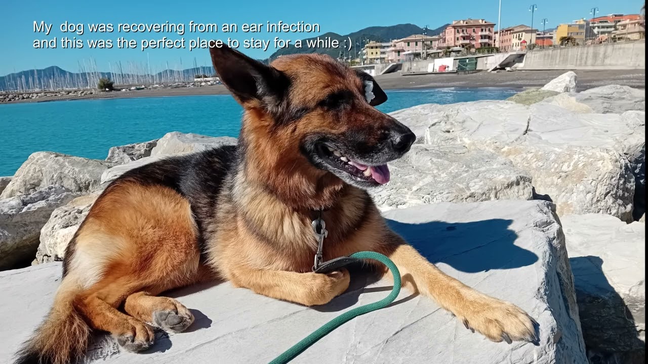 ep276 From Piemonte (Bubbio) to the coast (Liguria-Chiavari) & Paulla
