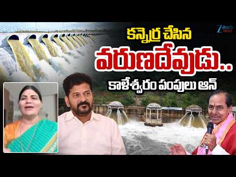 BRS Sumitra Anand Emotional Words On Rains In Telangana | కన్నెర్ర చేసిన వరుణదేవుడు..ZEE - ZEE24TELUGUNEWS