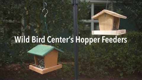Wild Bird Center