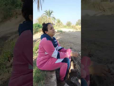 ليل العشاء السري المرنمه امل استمالك