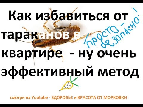 Как избавиться от тараканов в квартире безопасно и просто   ну очень эффективный метод
