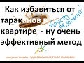 Как избавиться от тараканов в квартире безопасно и просто   ну очень эффективный метод