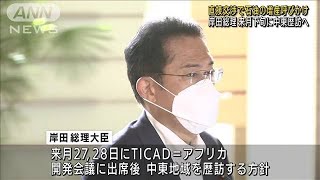 岸田総理、原油増産要請へ　来月の中東歴訪を調整(2022年7月28日)