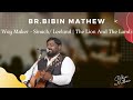 Way maker  sinach leeland  the lion and the lamb  leeland cover  bibin mathew  soak 002