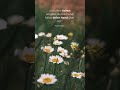 Gott hält seine Hand über dir 🕊️ Psalm 139,5 #bibelverse #glauben #sprüche #botschaftvongottheute