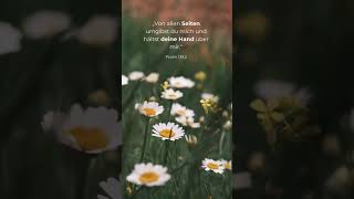 Gott hält seine Hand über dir 🕊️ Psalm 139,5 #bibelverse #glauben #sprüche #botschaftvongottheute
