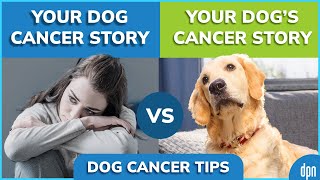 Your Dog Cancer Story | Molly Jacobson