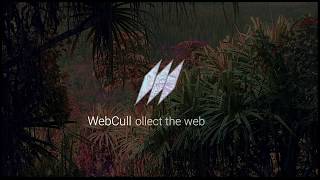 Simple Webcull Demonstration