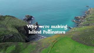 Why we are making a film on Island Pollinators?