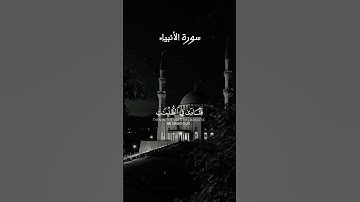 ️ فنادى في الظلمات | نداء يونس عليه السلام يهز القلوب 🌘🖤#سورة_الأنبياء #اكسبلور #تلاوة_خاشعة 🌘🖤