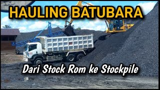 Proses Hauling Batubara Dari Lodingan Sampai Pembongkaran, Isuzu Giga FVZ 285. Tanjakan Pakai Gigi C